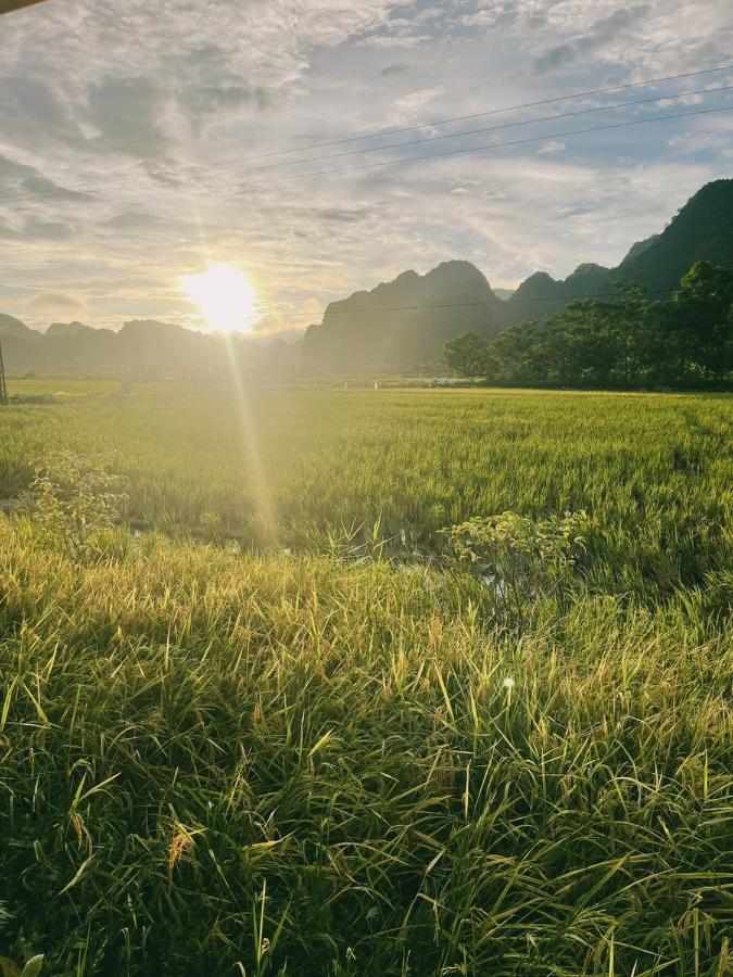 Vila Tam Coc Windy Fields Ninh Binh Exteriér fotografie