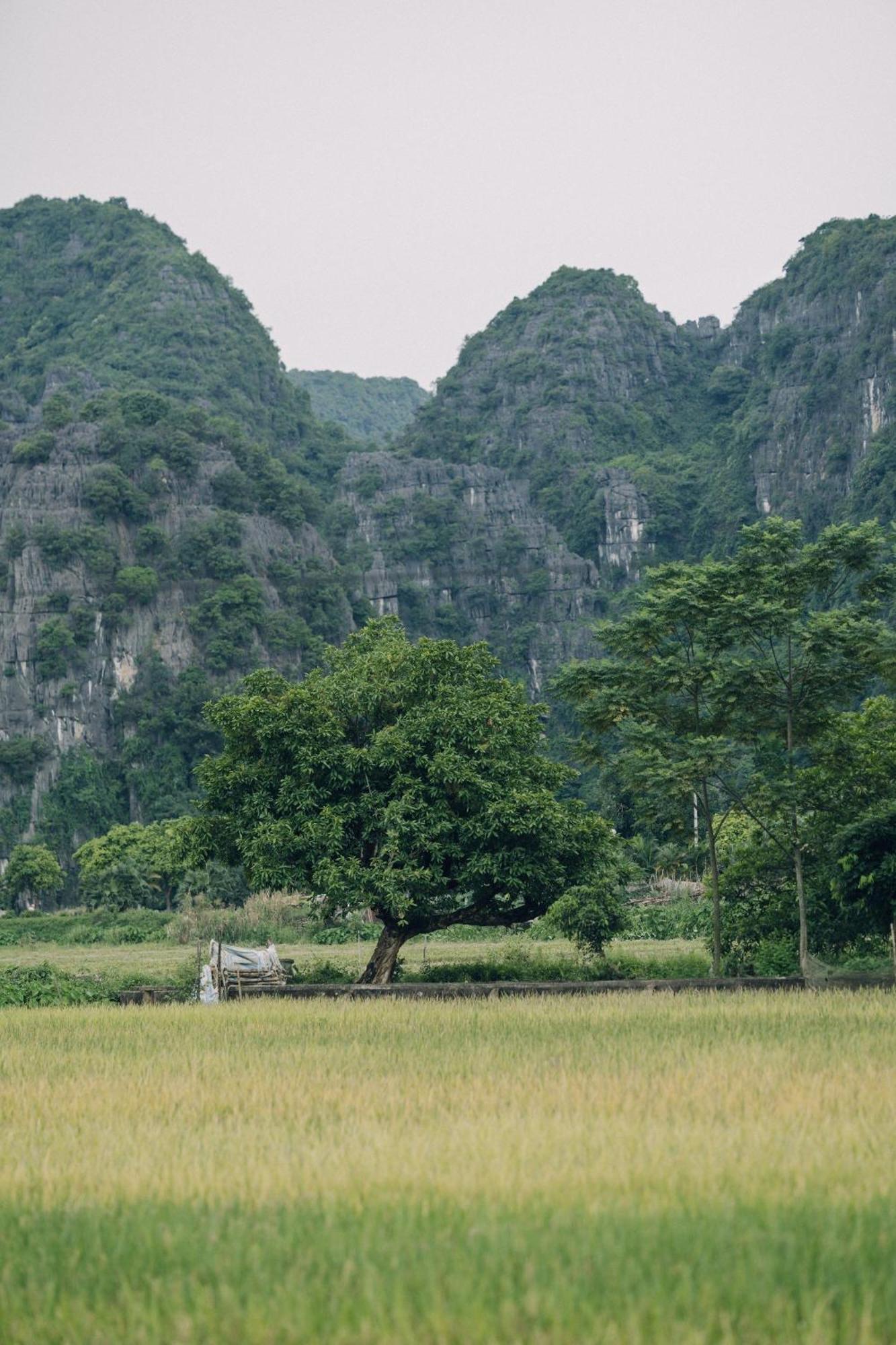 Vila Tam Coc Windy Fields Ninh Binh Exteriér fotografie